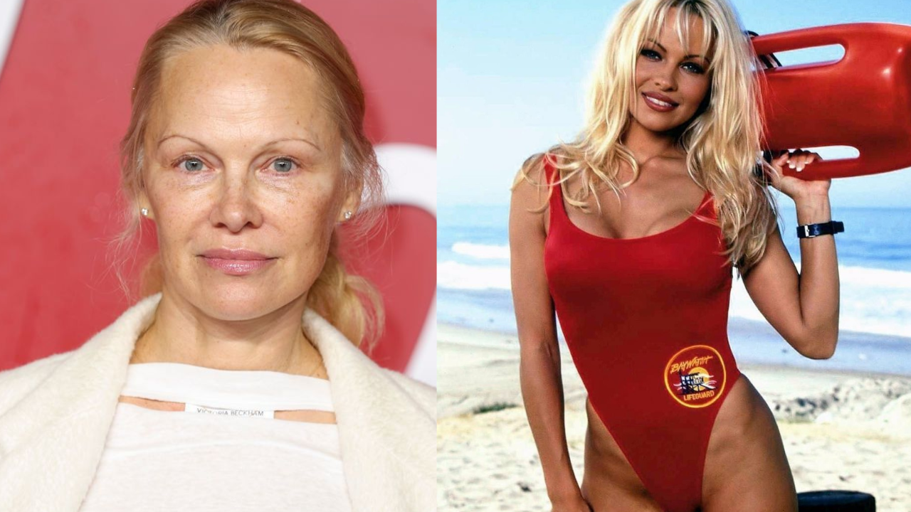 Pamela Anderson Net Worth and More of Her Life Story! - Scaling Up  Excellence