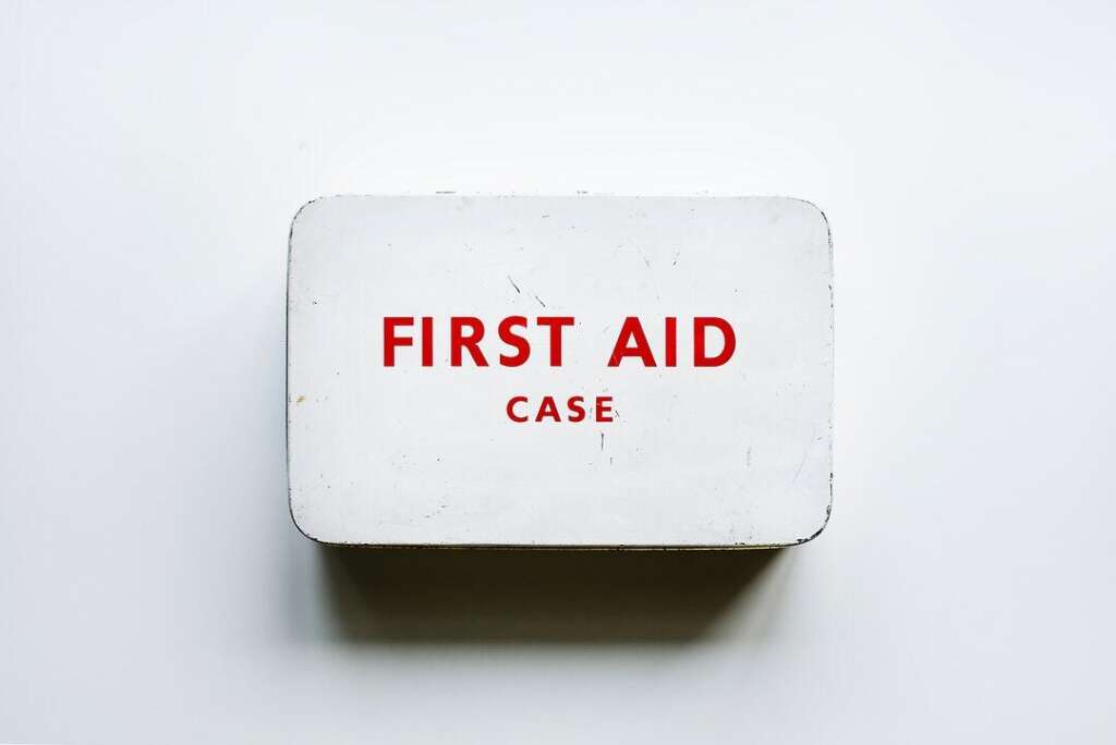 pet first aid box