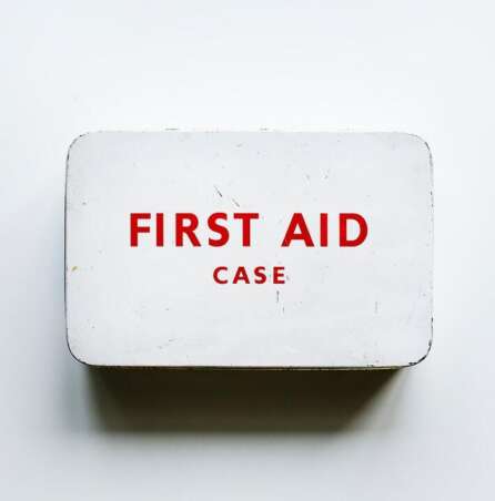 pet first aid box