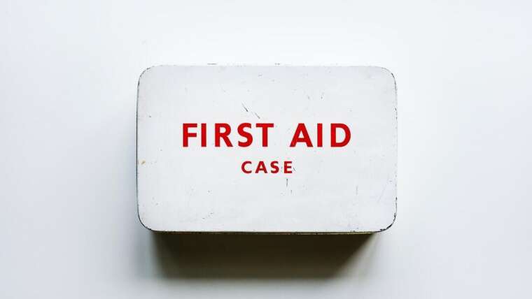 pet first aid box