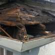 How to Identify Roof Wind Damage After a Storm