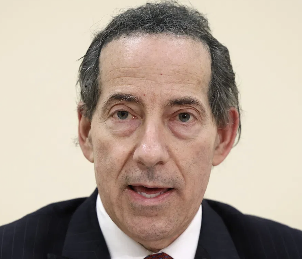 jamie raskin net worth