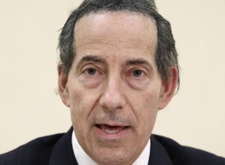 jamie raskin net worth