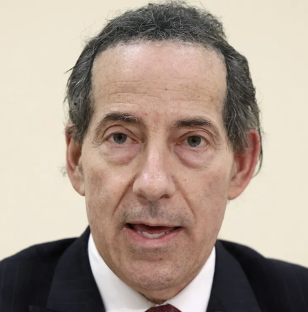 jamie raskin net worth