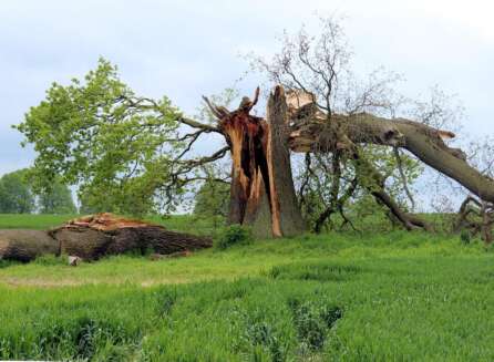 storm damage